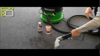 Numatic George Vacuum GVE3702 Vacuum Cleaner Demonstration [upl. by Esmaria26]