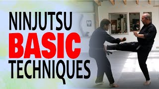 NINJUTSU BASIC TECHNIQUES [upl. by Anuait]