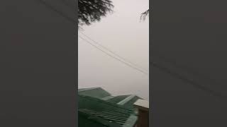 waah wah shimla kaa abhi ka mosamshimlatourism nature ytshortsvideo youtubeshorts [upl. by Ericka]