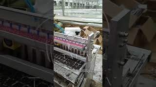 Vegetable Nursery Seeding Machine  Tray Seeder machine [upl. by Ljoka]