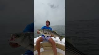 Striped Bass fishing in CT [upl. by Tirrej597]