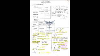 Nematodes  Trematodes  cestodes comment for full pdf fmge neetpg mbbs [upl. by Larcher]