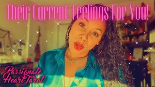 ✨💖 Their Current Feelings For You ˚₊· ͟͟͞͞➳❥ All 12 Signs ✧ Time Stamped 💖✨ [upl. by Assej]