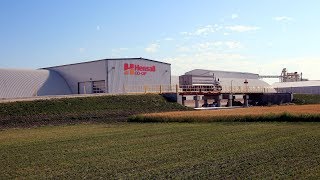 Hensall Coop Dry Bean Open House  Bloom MB July 25 2019 [upl. by Vale]