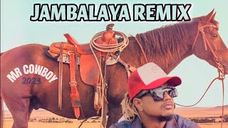 JAMBALAYA REMIX 2023 [upl. by Ayekram]