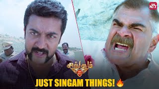 Suriyas Ultimate Mass Action Scene 🔥  Singam 3  Shruthi Hasaan  Anushka Shetty  Sun NXT [upl. by Naliorf]