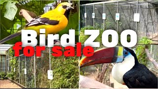 Largest Bird ZOO in Northern Europe  Aviary Birds  S2Ep12 [upl. by Oirretno]