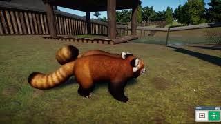 Lets play fr Planet Zoo 20  Lannée du buffle [upl. by Iblehs]