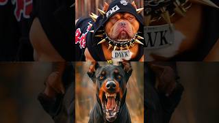 PITBULL VS ALL DOGS Comparison [upl. by Miriam]