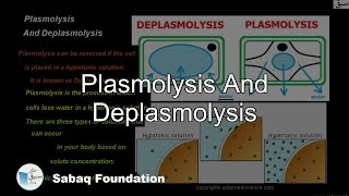 Plasmolysis And Deplasmolysis Biology Lecture  Sabaqpk [upl. by Eelorac]