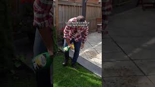 HOW TO CARE FOR YOUR LAWN IN THE FALL 🍂🌱 garden lawncare [upl. by Alema847]