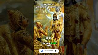 Bhagavad Gita Chapter 11 1119 [upl. by Mccarthy]