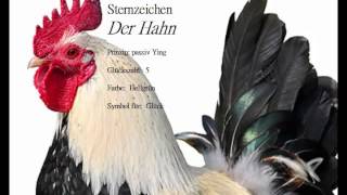 Chinesisches Sternzeichen der Hahn und seine Eigenschaften Zielgerichtet und voller Selbstvertrauen [upl. by Esilram]