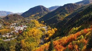 The Colours of Autumn in New Zealand [upl. by Leff327]