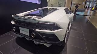 Lamborghini Huracan Evo RWD  the powerful Monster on the road [upl. by Eboj]