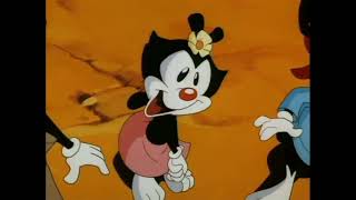 Animaniacs  Prince Where English [upl. by Magbie]