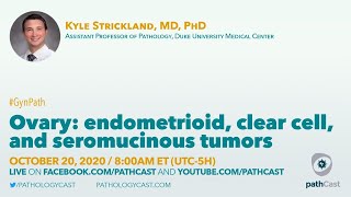 Ovary endometrioid clear cell and seromucinous tumors  Dr Strickland Duke GYNPATH [upl. by Ahcim]