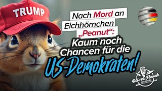 Nach Einschläferung von „Peanut“ Kaum noch Chancen für die USDemokraten [upl. by Anma]