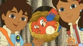 Go Diego Go S01E09 The Mommy Macaw P2 [upl. by Valentijn]