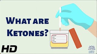 What Are Ketones and Why Are They So Important for Your Health [upl. by Samanthia]