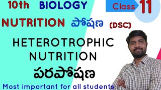 Heterotrophic Nutrition  10th biology  Nutrition lesson  Class 11 [upl. by Wallace45]