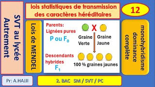 lois statistiques de MENDEL  monohybridisme  dominance complète [upl. by Homovec944]