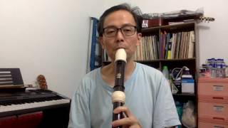 7 Comparing Aulos vs Yamaha tenor recorder  Scarborough Fair [upl. by Lesak]