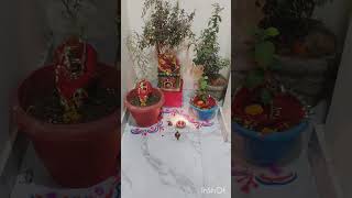 Diwali ra kichhi video aasiba re tike let hela sry my you tube family plz subscribe my channel [upl. by Naerb725]