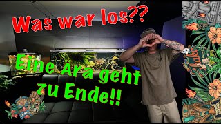 Eine Ära geht zu Ende Was war Los Wie gehts weiter YouTube Aquarien Meerwasser Terrarium [upl. by Euridice360]