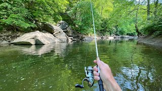 River Fishing for Trout Bass amp Sunfish [upl. by Aruabea]