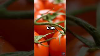 Tomatoes Once Feared as Poisonous in Europe shorts facts [upl. by Phillie]