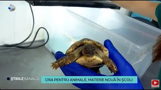 Stirile Kanal D  Ora pentru animale materie noua in scoli  Editie de dimineata [upl. by Essyla739]