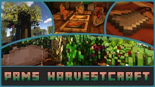 Minecraft  Pams Harvestcraft 2 Mod Showcase Forge 1165 [upl. by Ardeid]