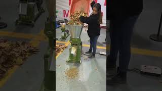 15kw fish feed pellet machine test for Pakistan customer exportwoodpellet woodpelletmachine [upl. by Eizdnil570]