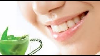 Té verde para la salud dental [upl. by Karen]