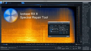 Izotope RX8 Spectral Repair Tool  Explained in detail [upl. by Rogerio578]