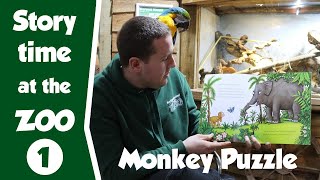 Story Time at the Zoo  Monkey Puzzle [upl. by Siuol]