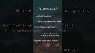 Karışık bilgiler soft softvideolar gece itzy [upl. by Fiore]