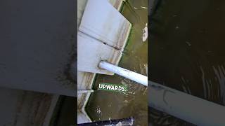 Installing A Well Point for a Sea Wall [upl. by Josey]