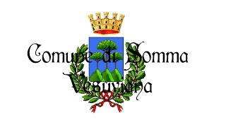 Seduta Consiglio Comunale di Somma Vesuviana 26 Marzo 2024 [upl. by Francyne266]