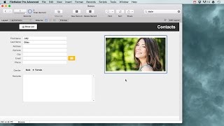 Filemaker Pro Basics for beginners [upl. by Adnaram]