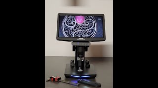 Unboxing the Vevor 10quot Digital Microscope [upl. by Sorvats]