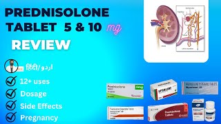 Prednisolone 5mg  Prednisone  Prednisolone Dispersible Tablets 10 mg in Hindi  Medical Creator [upl. by Slade492]