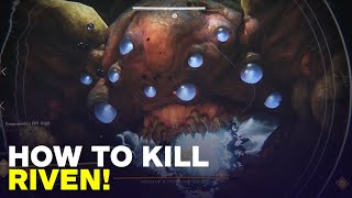 Destiny 2 How to Kill Riven of a Thousand Voices  Last Wish Raid Guide Boss 5 [upl. by Lewes]