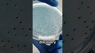 penicillin fleming discovery science youtubeshorts [upl. by Tomaso]