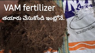 242 How to make VAM Mycorrhiza fertilizer at home Vesicular Arbuscular Mycorrhiza VAM [upl. by Jablon]