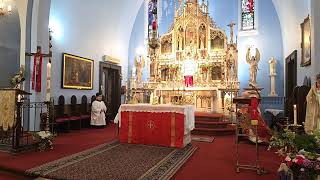 Our Lady of Czestochowa Sunday Mass  May 19 2024 [upl. by Feltie]