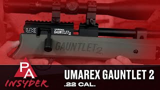 Indepth Review of the Umarex Gauntlet 2 22 Caliber [upl. by Ettenahc]