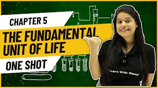 Fundamental Unit Of Life  One Shot  Class 9 Science [upl. by Hollinger]