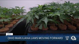 Recreational marijuana sales could start as early as June Ohio policymakers say [upl. by Laurent933]